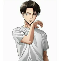 Levi ackerman (kaka mikasa)
