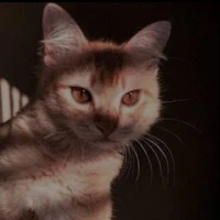 Ula