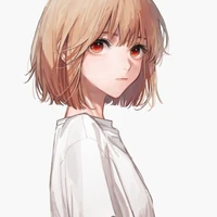 Y/N