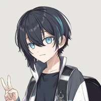 SISTEM (AOI)