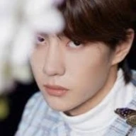 yibo