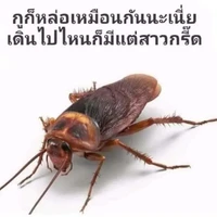 แอด