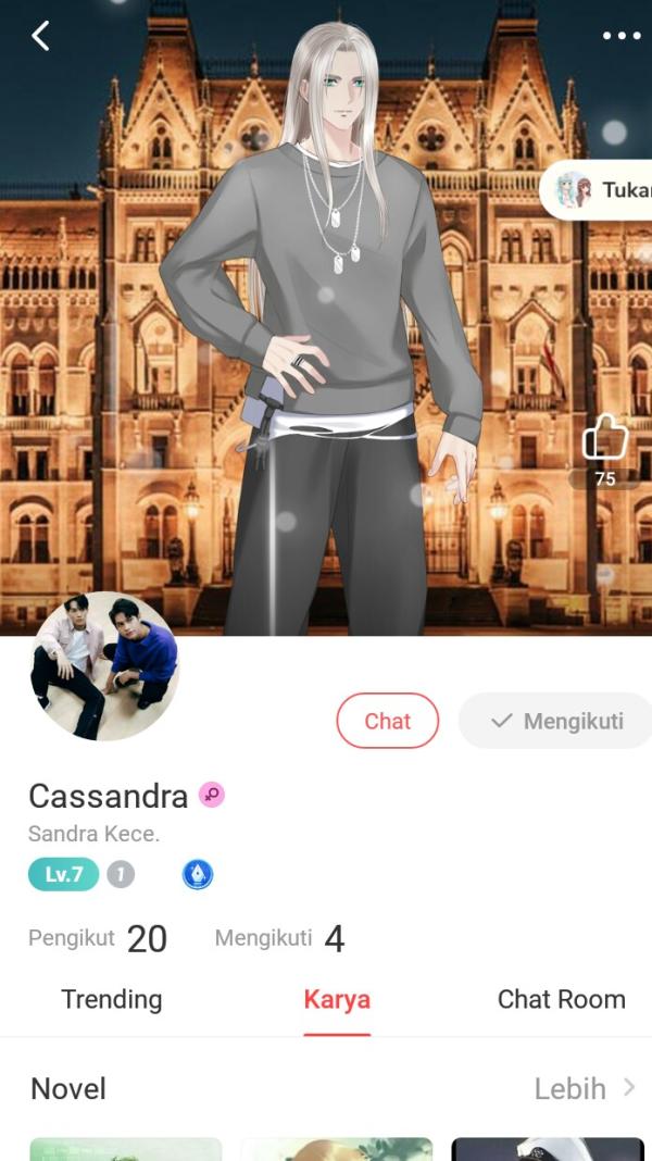 NovelToon