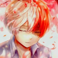 Todoroki.S