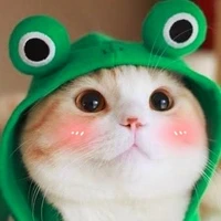 แมวเหมียว