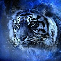 Tiger (blue)