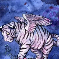 Lil Ray The Winged White Cub