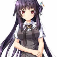 Sawatari  Fukui 