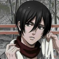 Mikasa