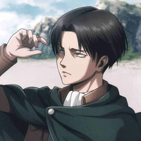 Levi
