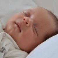 VINCENZO LEANDRE R.