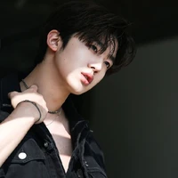 rein