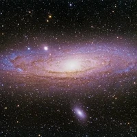 autora