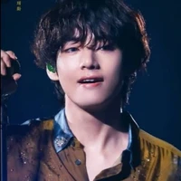 Kim Taehyung(V)/Male lead