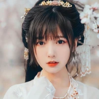 หง ซูลี่ (ซู จิน(ซูซู)