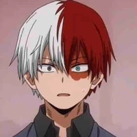 Shoto Todoroki 