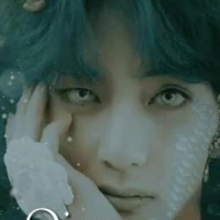 V(pangeran)