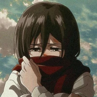 mikasa