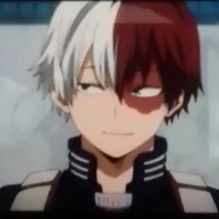 todoroki(❄️🌋)