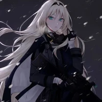 koykana k/y