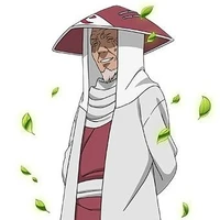 Hokage ke 3