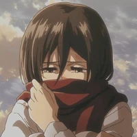 Mikasa (pure bestie 😘 167 cm)
