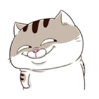Little Fat Kitty