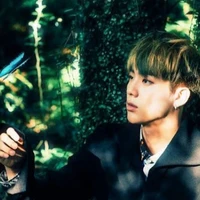 kim Seokjin