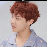 hobi