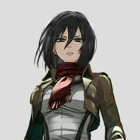 mikasa