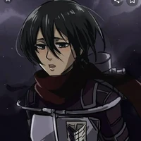 MIKASA