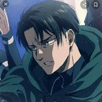 LEVI