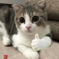 แอดด
