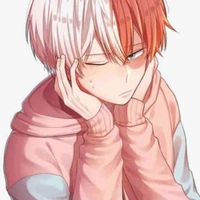 Todoroki 