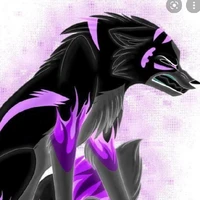 Kaisa
