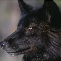 Storm-Ashlyn and Kaisa father