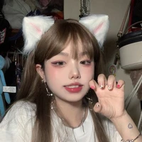 Y/N