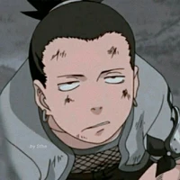 ☁\🍃~Shikamaru