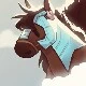 『 Kassy (Cavalo) 』