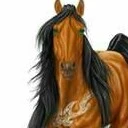 『 Gyu (Cavalo) 』