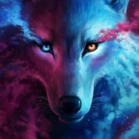 the moon dog