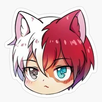 todoroki