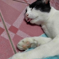 แอด