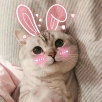 D.😻
