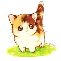 kitten/ginger