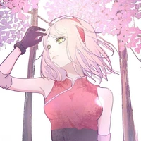 sakura