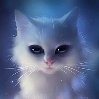 unkown cat
