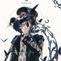 โจเกิอร์(ระบบ)