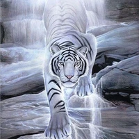 ᴴᵃʳⁱᵐᵃᵘ ᴾᵘᵗⁱʰ