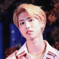 Han Jisung
